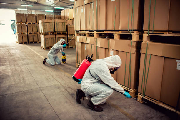 Best Pest Control for Restaurants  in Mililani Mauka, HI