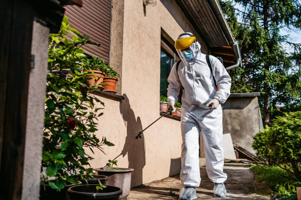 Best Insect Control  in Mililani Mauka, HI