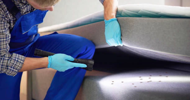 Pest Control for Restaurants in Mililani Mauka, HI