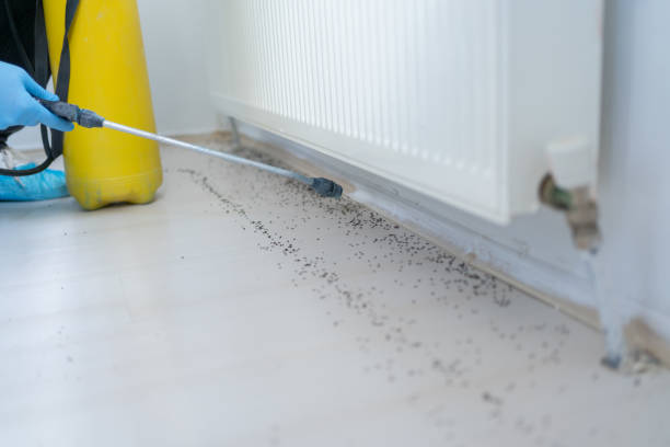 Best Pest Inspection Near Me  in Mililani Mauka, HI