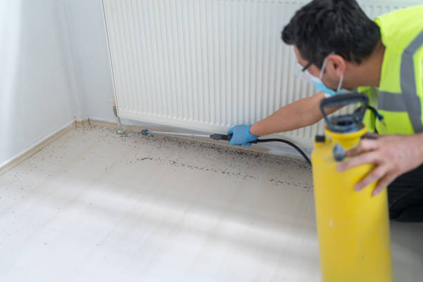 Best Residential Pest Control  in Mililani Mauka, HI